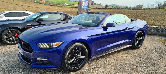 FORD MUSTANG AUTO AMERICANE SU COMMISSIONE - foto 14