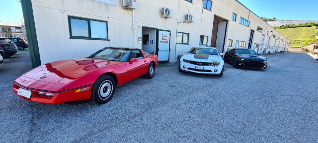 FORD MUSTANG AUTO AMERICANE SU COMMISSIONE - foto 20