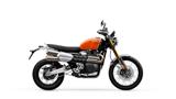 TRIUMPH Scrambler 1200 XE .