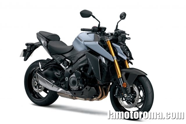 SUZUKI GSX S 1000 . Immagine 1