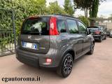 FIAT Panda 1.0 FireFly S&S N OLEGGIO GIORNALIERO