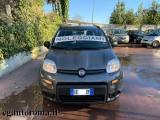 FIAT Panda 1.0 FireFly S&S N OLEGGIO GIORNALIERO