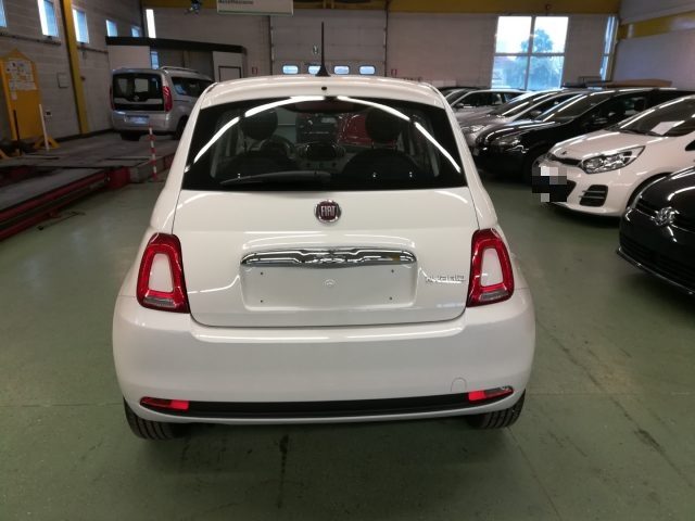 FIAT 500 1.0 70 CV Hybrid CULT Immagine 3