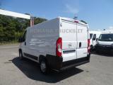 OPEL Movano L1 H1 120CV KM ZERO  PRO PRONTA CONSEGNA