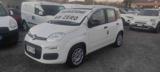 FIAT Panda 1.2 GPL della casa aziendale
