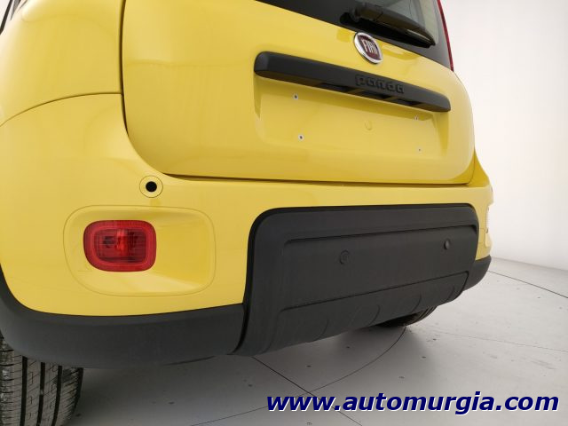 FIAT Panda 1.0 FireFly S&S Hybrid CON ROTTAMAZIONE Immagine 4