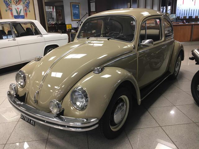 VOLKSWAGEN Maggiolino 11D 2 vetro piatto 12V Immagine 0