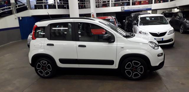 FIAT Panda 1.0 FireFly S&S Hybrid City Life Immagine 4