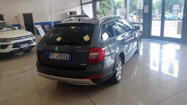 SKODA Octavia 2.0 TDI CR 180 CV 4x4 DSG Wagon Scout Immagine 1