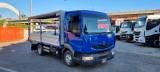 RENAULT MIDLUM 190.75  CENTINATO MT4.67 EURO4