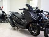 HONDA Forza 350 My25 - Euro 5+ PROMO RCA+TASSO ZERO