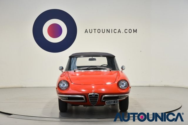 ALFA ROMEO Spider 1300 JUNIOR OSSO DI SEPPIA ASI TARGA ORO Immagine 1