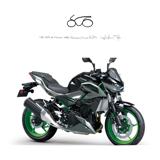 KAWASAKI Z 500 SE 2025