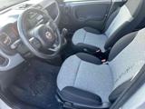 FIAT Panda 1.2 Lounge OK NEO PATENTATI