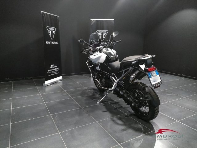 TRIUMPH Other Tiger RALLY EXPLORER Immagine 3