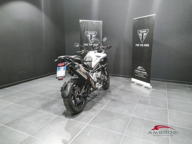 TRIUMPH Other Tiger GT PRO Immagine 4