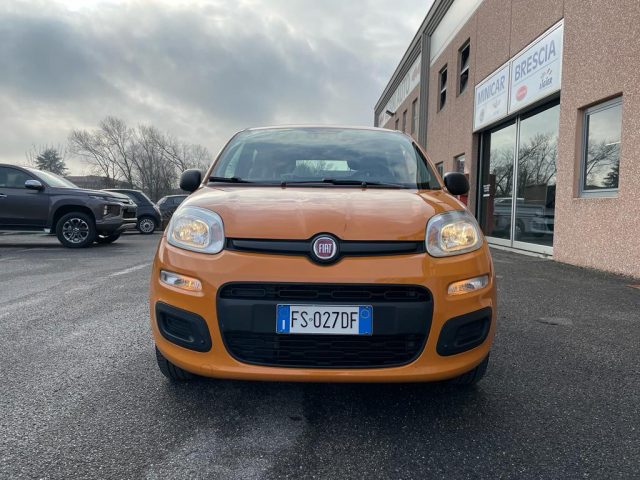 FIAT Panda 1.2 Easy Immagine 1