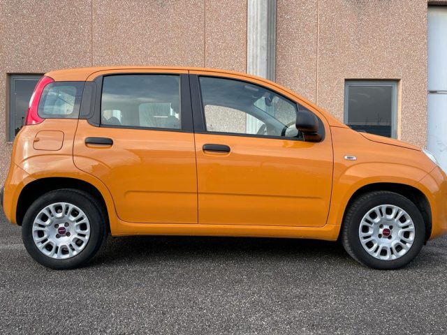 FIAT Panda 1.2 Easy Immagine 2