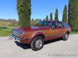 JEEP Wagoneer AMC EAGLE 4.2L ISCR.ASI