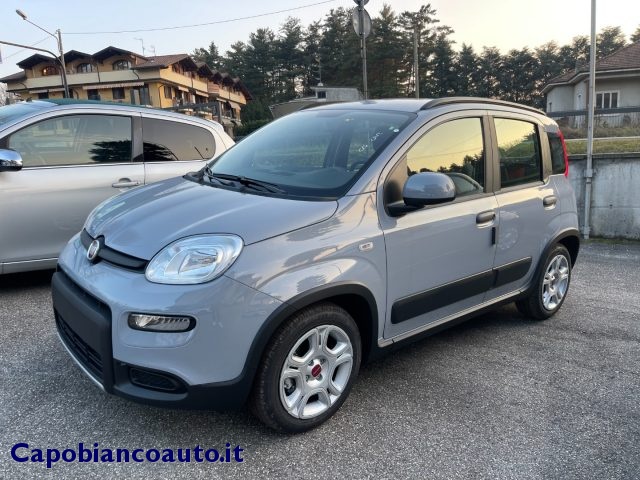 FIAT Panda 1.0 FireFly S&S Hybrid City Life KM0 Immagine 0