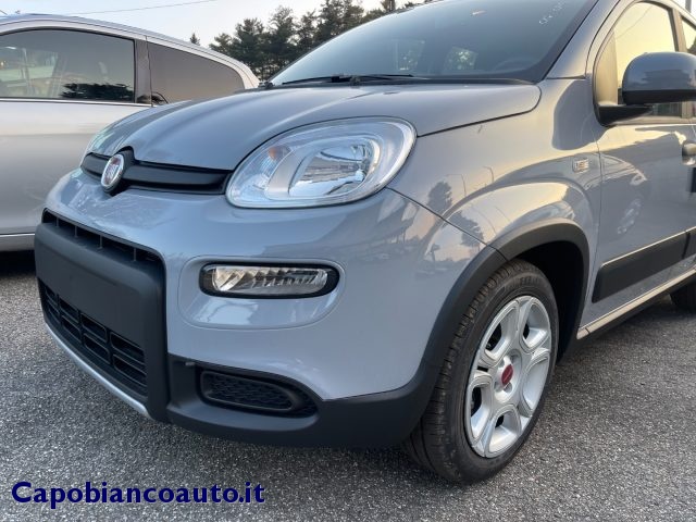 FIAT Panda 1.0 FireFly S&S Hybrid City Life KM0 Immagine 1