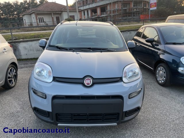 FIAT Panda 1.0 FireFly S&S Hybrid City Life KM0 Immagine 2