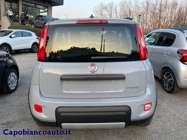 FIAT Panda 1.0 FireFly S&S Hybrid City Life KM0 Immagine 4