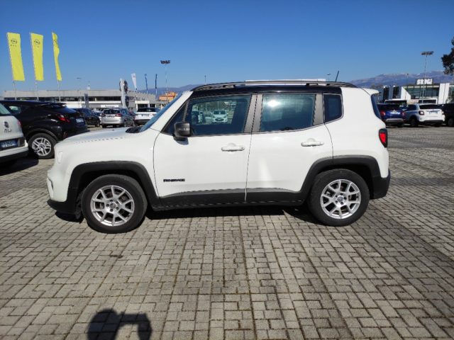 JEEP Renegade 1.0 T3 Limited Immagine 2