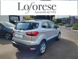 FORD EcoSport 1.0 EcoBoost 125 CV Start&Stop aut. Business