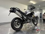 TRIUMPH Tiger 900 Rally Pro