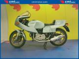 DUCATI Pantah 500 Finanziabile - Azzurro - 16278