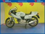 DUCATI Pantah 500 Finanziabile - Azzurro - 16278