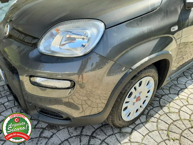 FIAT Panda 1.0 FireFly S&S Hybrid OK NEOPATENTATI-  - Immagine 1