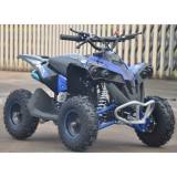 ALTRE MOTO O TIPOLOGIE Quad RENEGADE