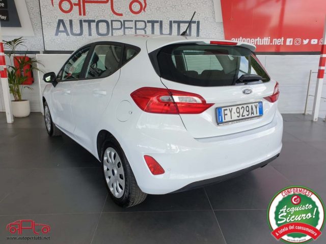 FORD Fiesta 1.5 EcoBlue 5p Business Immagine 3