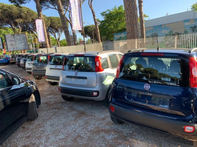 FIAT Panda 0.9 TwinAir Turbo GPL Trekking CERCHI,CLIMA .. Immagine 1