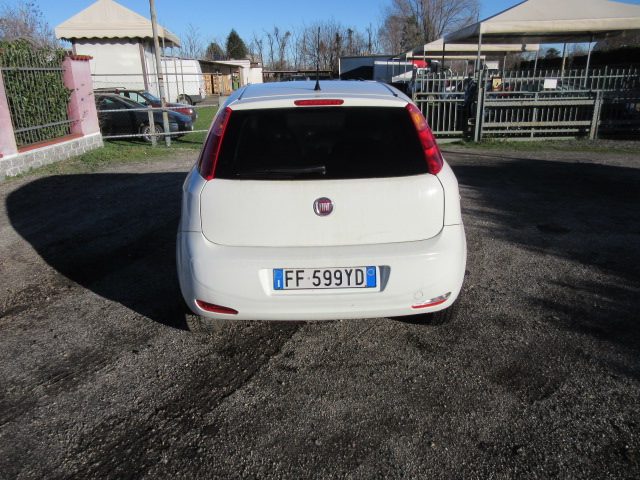 FIAT Punto 1.4 8V 3 porte Natural Power Young Immagine 4