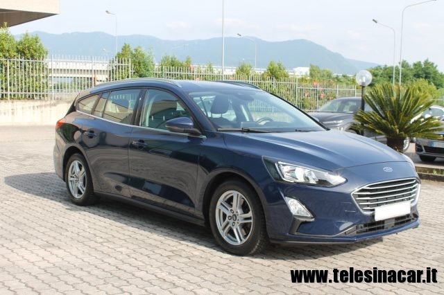 FORD Focus 1.5 EcoBlue 120 CV SW Business Immagine 1