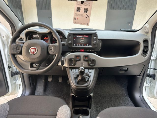 FIAT Panda 1.0 FireFly Hybrid City Cross (CON ECO-INCENTIVO) Immagine 4