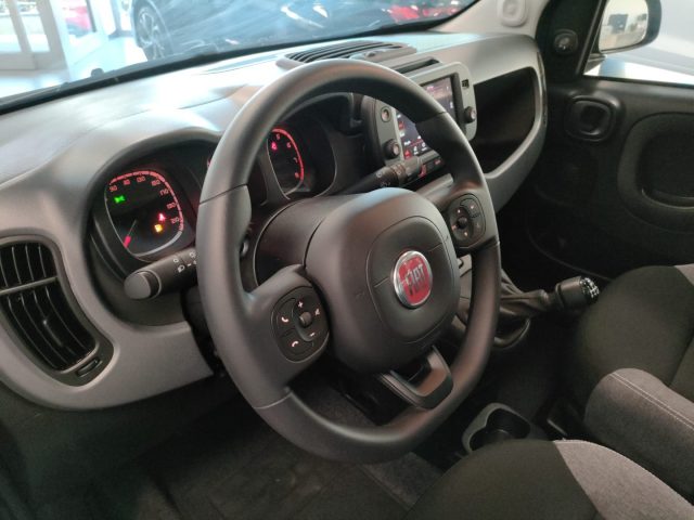 FIAT Panda 1.0 FireFly Hybrid City Cross (CON ECO-INCENTIVO) Immagine 4