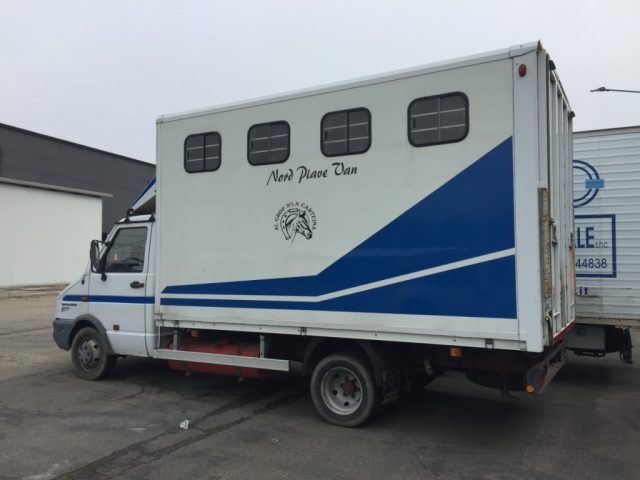 IVECO Daily 49E12 PATENTE C TRASPORTO DI COSE ED ANIMALI VIVI Immagine 3