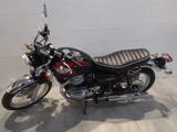 KAWASAKI W 800 2024 EURO 5