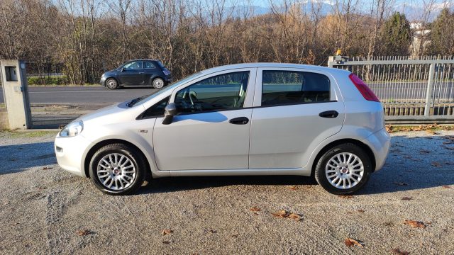 FIAT Punto 1.3 MJT II S&S 95 CV 5 porte Street Immagine 2