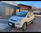 FIAT Panda 3ª serie -  1.3 MJT S&S 4x4