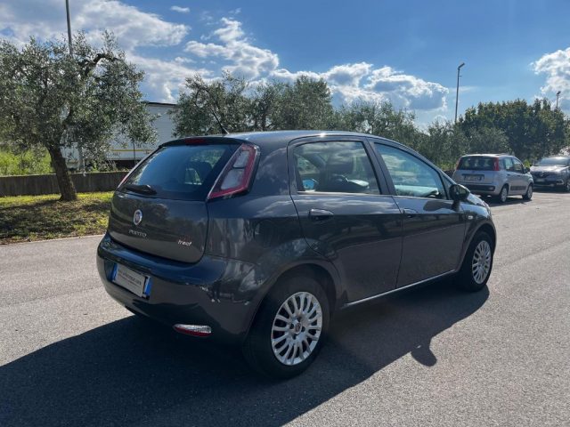 FIAT Punto 1.4 8V 5 porte Easypower Street Immagine 3