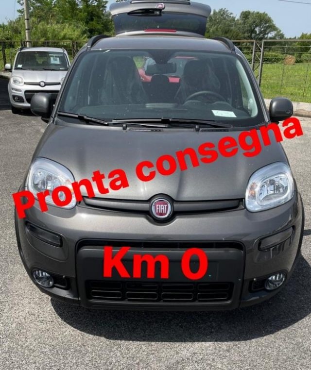 FIAT Panda 1.0 FireFly S&S Hybrid Immagine 0