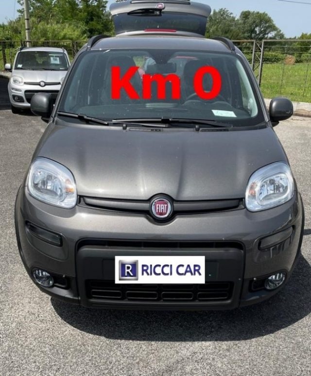 FIAT Panda 1.0 FireFly S&S Hybrid Immagine 1