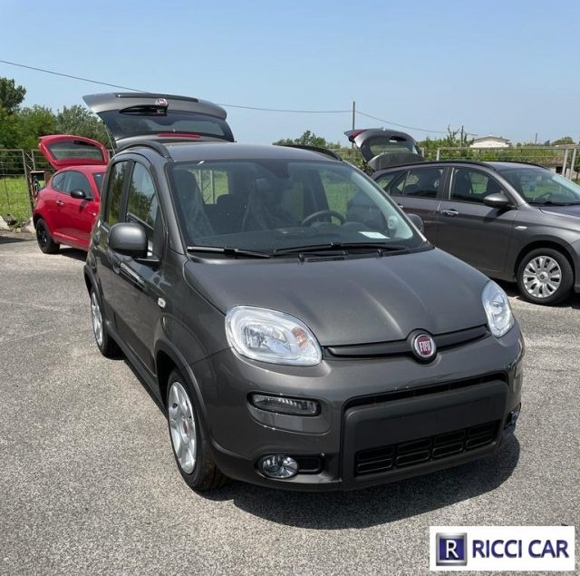 FIAT Panda 1.0 FireFly S&S Hybrid Immagine 2