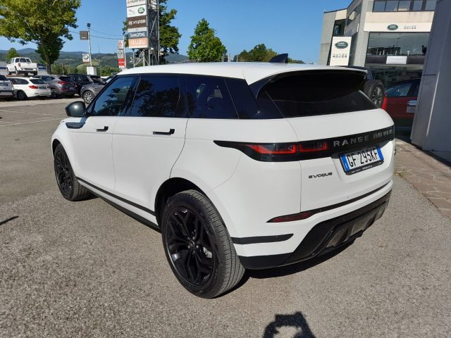 LAND ROVER Range Rover Evoque 2.0D I4 163 CV AWD Auto Immagine 3