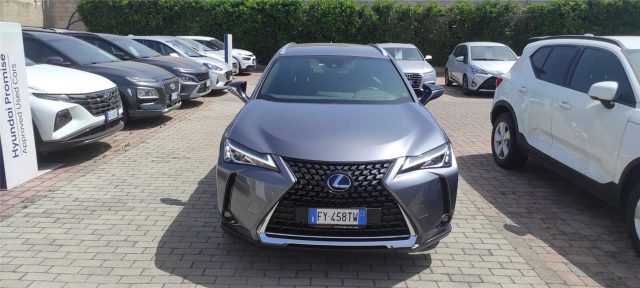 LEXUS Other UX UX Hybrid Luxury Immagine 1